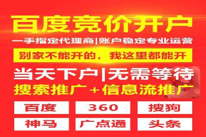 SEM服务案例：助力企业拓展海外市场